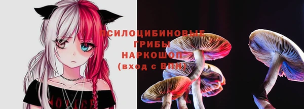 первитин Володарск